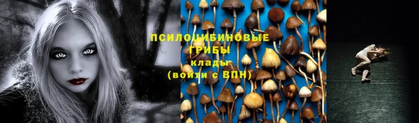 МДМА Новодвинск