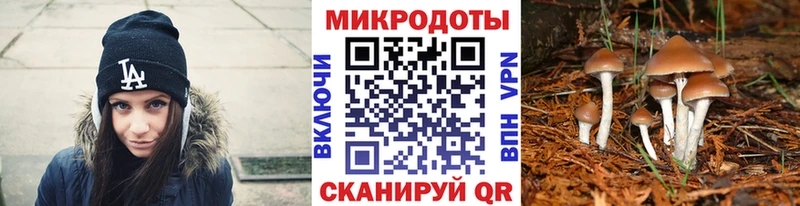 купить наркотик  Красноуфимск  дарк нет наркотические препараты  Псилоцибиновые грибы Magic Shrooms 