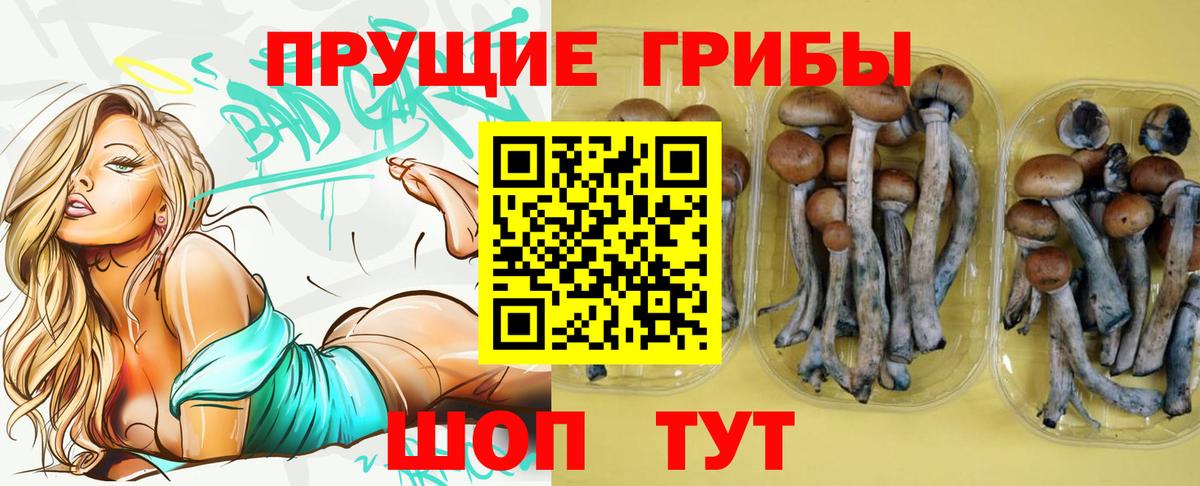 Галлюциногенные грибы Magic Shrooms  Псилоцибиновые грибы мухоморы  Красноуфимск 