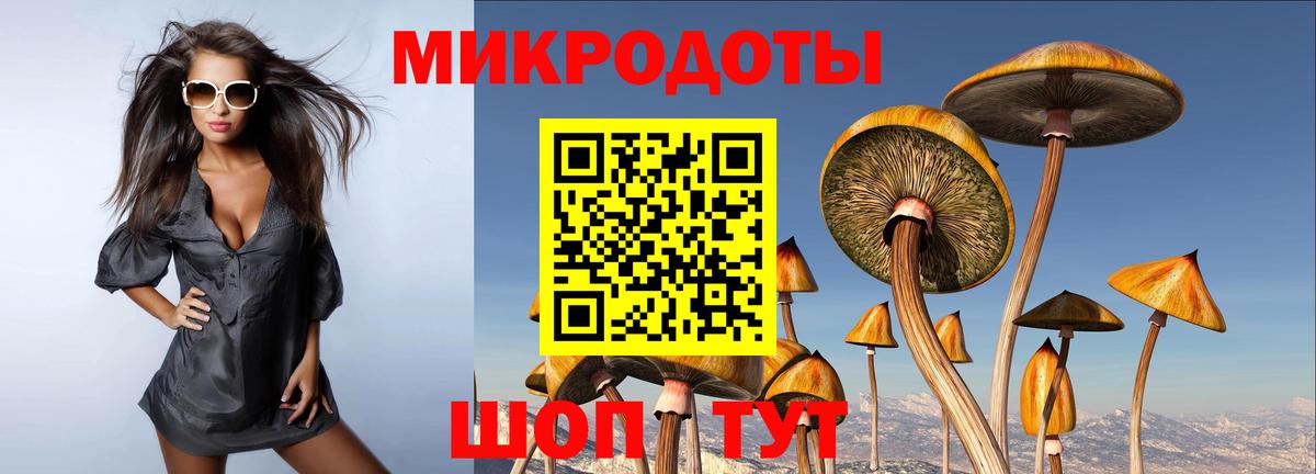 Псилоцибиновые грибы Cubensis Красноуфимск